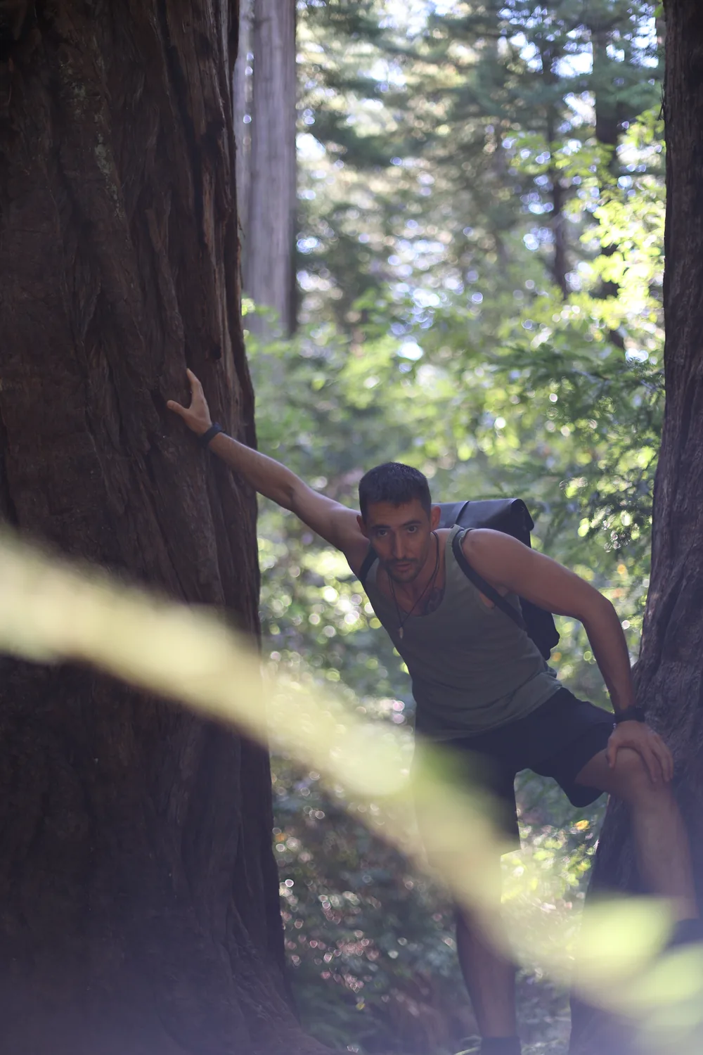 Rubén Martín entre árboles en un bosque